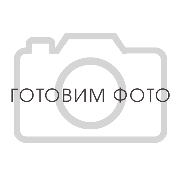 4093100200 Патрон воздушного фильтра